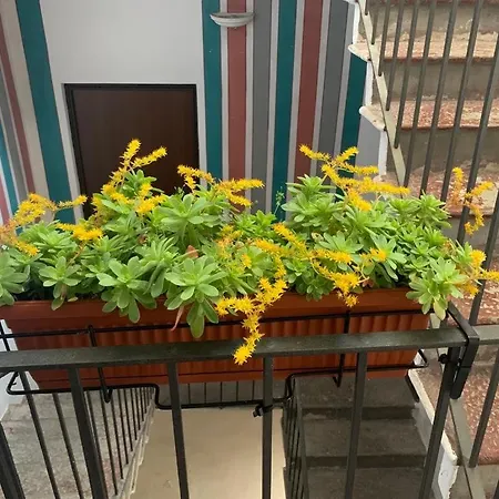 In Centro Storico 公寓 因特拉